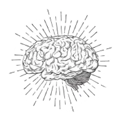 brain rewire(1)